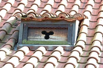 Zvláštní tvar střešního okénka (© Milan Caha, 07/2007)