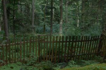 Boubínský prales (© Jiří Cukr, 07/2007)