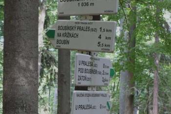 Rozcestník u jihozápadního okraje pralesa (© Jiří Cukr, 07/2007)
