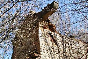 krakorec ve zdi ( © Pavel Zany Komárek 30/3/2002)
