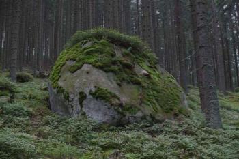 Balvan při cestě (© Jiří Cukr, 08/2007)