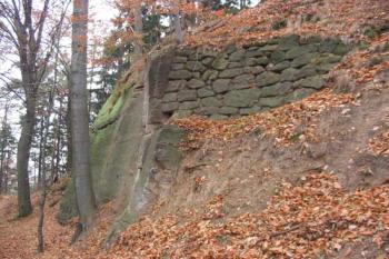  (© 2003 Jiří Čížek)