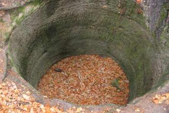  (© 2003 Jiří Čížek)