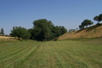 Seloutky - Pohled ze Žlibku na stromy ukrývající studánku. Vpravo stávala tvrz. (© Ivo Rozehnal, 08/2007)