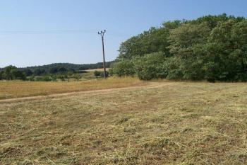 Seloutky - Místo tvrze nad Žlibkem (© Ivo Rozehnal, 08/2007)