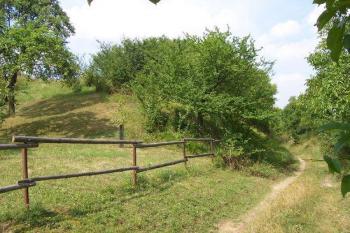 Určice - tvrz - Pohled na místo tvrziště z cesty za kostelem (© Ivo Rozehnal, 08/2007)