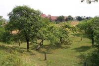 Určice