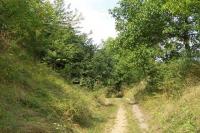 Určice