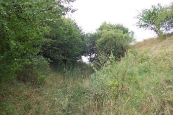Určice - tvrz - Valy na západní straně tvrziště (© Ivo Rozehnal, 08/2007)