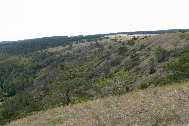 Mohelenská hadcová step