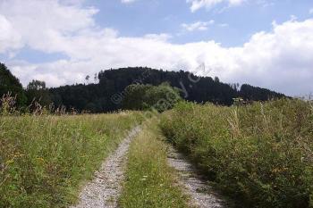 Králova Hora (© Jan Laurin, 07/2007)