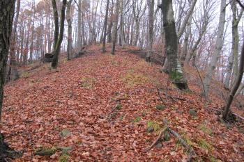 přístup k místu hradu od sv. (© D Dohňanský, 11/2016)