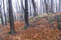 Rybáře