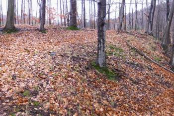 pohled od severu na západní a jižní část lokality ( © Jan P. Štěpánek 01/2008)