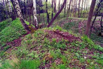 Pohled z jádra přes příkop na předhradí ( © Filip Matoušek 3/2002)