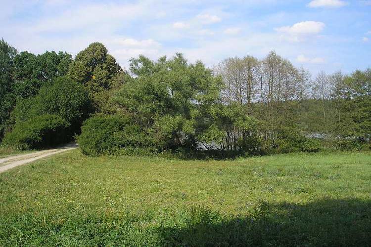 Budkovany
