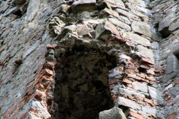 zbytky prevétu jádra ( © Pavel Zany Komárek 6/5/2005)