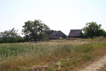 Určice - větrný mlýn - Dnešní pohled na místo, kde stával větrný mlýn. Mezi stromy je vidět kostel. (© Ivo Rozehnal, 08/2007)