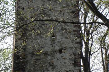 Branská věž od severu ( © iV 5. 5. 2007)