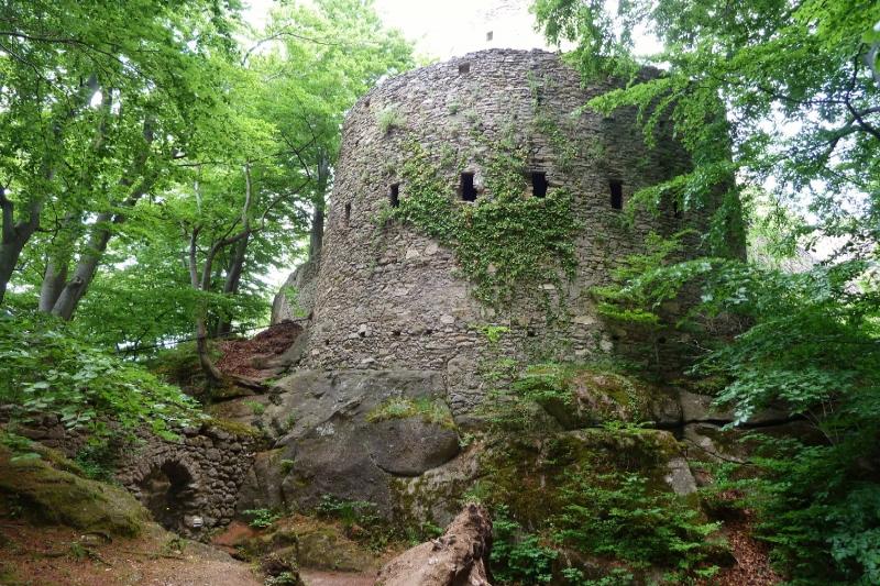 Chojnik