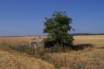 PV - Jih (© Ivo Rozehnal, 08/2007)