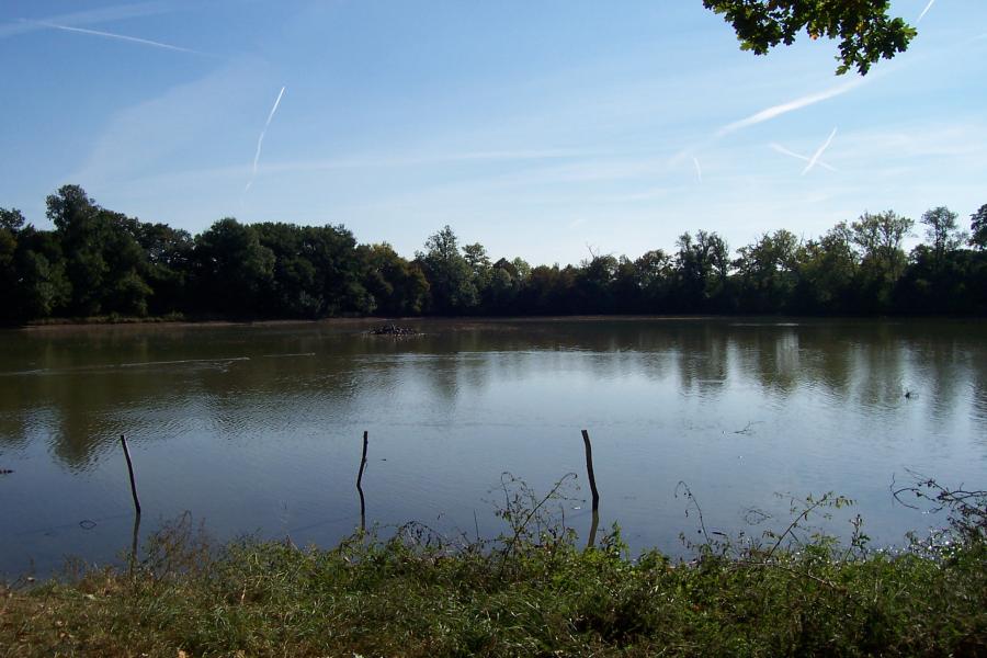 rybník Kolečko