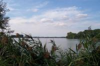 Hradecký rybník