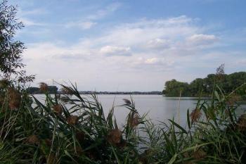 Hradecký rybník - Tovačov (© Ivo Rozehnal, 08/2007)