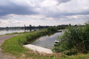 Tovačov - Hradecký rybník (© Ivo Rozehnal, 07/2009)