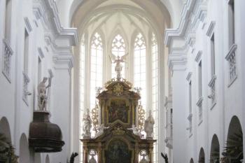 (© Zdeněk Susa, 05/2009)