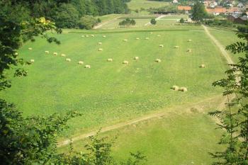 pohled na místo, kde se rozkládalo městečko Holštejn ( © Ondřej Štěpánek 08/2007)