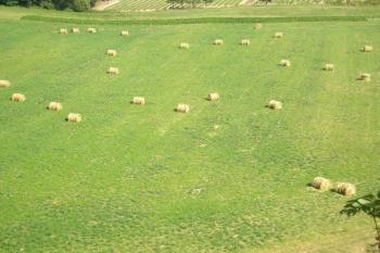 ohled na místo, kde se rozkládalo městečko Holštejn ( © Ondřej Štěpánek 08/2007)
