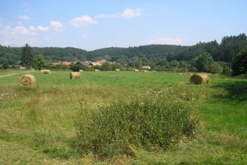 pohled na zřetelnou prohloubeninu-pozůstatek zaniklého stavení ( © Ondřej Štěpánek 08/2007)