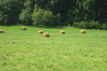 zřetelně vystupující rýhy zaniklé plužiny? ( © Ondřej Štěpánek 08/2007)