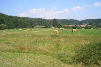 jiný pohled na prohloubeninu-pozůstatek zaniklého stavení ( © Ondřej Štěpánek 08/2007)