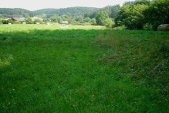 výrazná prohloubenina-pozůstatek zaniklého stavení ( © Ondřej Štěpánek 08/2007)