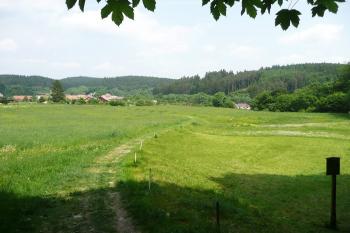 pohled od stezky k hradu na prostor zaniklého městečka ( © Jan P. Štěpánek 06/2008)