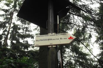  (© Nikola Mildová, 06/2012)