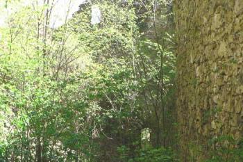 hrad Jasenov (© Jan Ptáček, 04/2007)