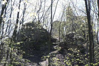 hrad Jasenov (© Jan Ptáček, 04/2007)