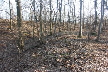 příkop a val v západní části tvrziště ( © Milan Caha 02/2008)