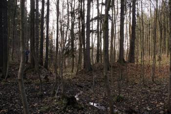 Hráz od tvrziště ( © Iva Spurná 15.11.2009)