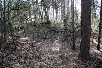 tvrziště přes příkop od severovýchodu ( © Pavel Zany Komárek 22. 4. 2010)
