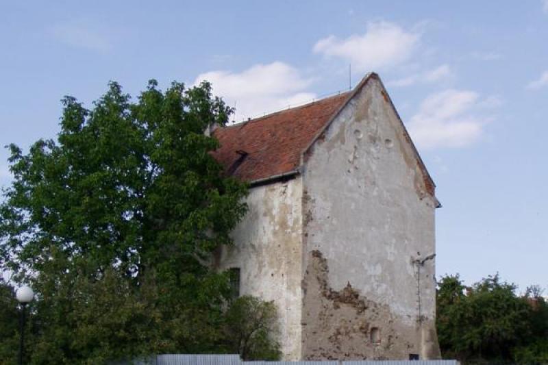 Oponešice
