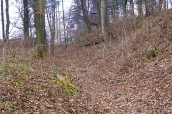 Pohled příkopem na místo vstupu do hradiště ( © Jan P. Štěpánek 03/2007)