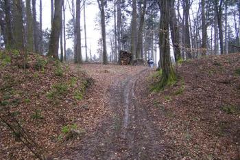Prostor vstupní brány do hradiště ( © Jan P. Štěpánek 03/2007)