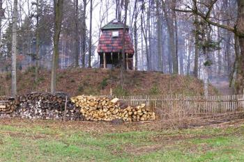 Pohled od jihu na hradiště ( © Jan P. Štěpánek 03/2007)