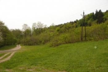 Purkhybl (© Jan Kořán 05/2006)
