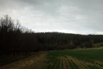 Pohled na hradiště z jihu. (© Prudký Martin, 04/2012)