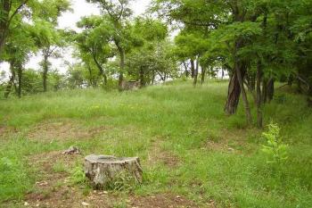 Hradiště nad Javornicí (© Roman Kolibač, 06/2007)